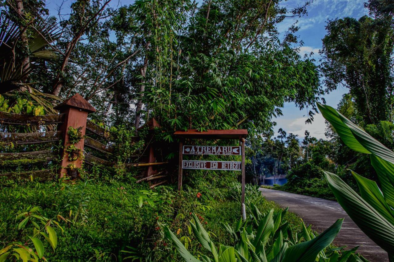 Hotel Atremaru Jungle Retreat Puerto Princesa Zewnętrze zdjęcie